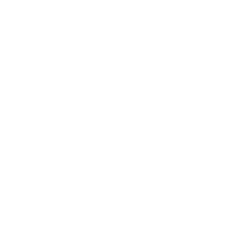 Traveler's Pal